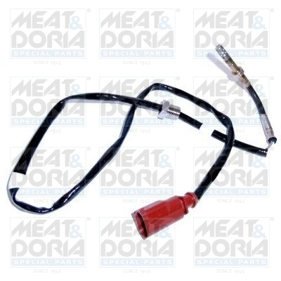 Sensor, exhaust gas temperature